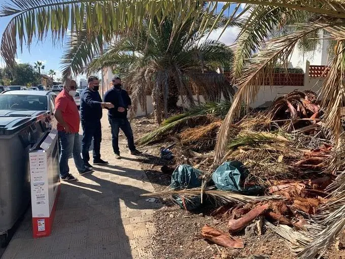 Limpieza de restos de poda en La Oliva