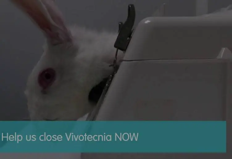 Animalistas contra el sufrimiento de animales en investigaci&oacute;n