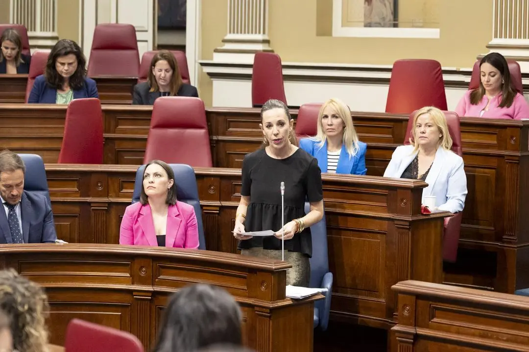 Pleno 042