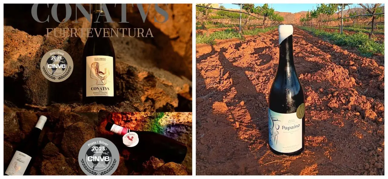 Vinos Conatus y Del Sordo