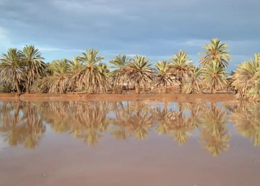 Captura de pantalla 2025-05-20 141333