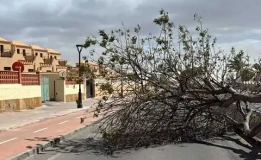 Archivo el paso de la borrasca Nuria por Fuerteventura