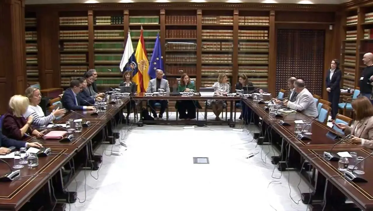 251201 Comisión Educación Parlamento 15