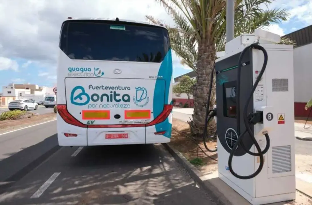 Guaguas El&eacute;ctricas