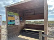 Saladar de jandía..