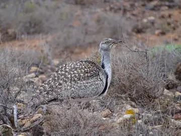 WhatsApp Image 2023-02-09 at 09.56.43