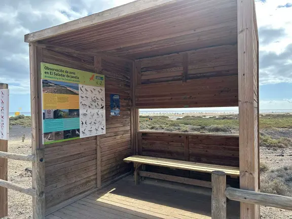 Saladar de jandía..