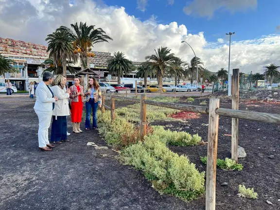 Saladar de Jand&iacute;a 2