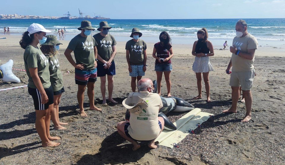Avanfuer realiza un taller de asistencia y primeros auxilios de cetáceos varados  en la isla