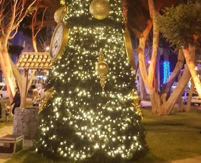 ARBOL NAVIDAD