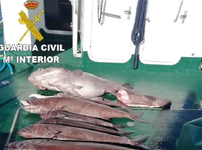 Pescado intervenido por la Guardia Civil