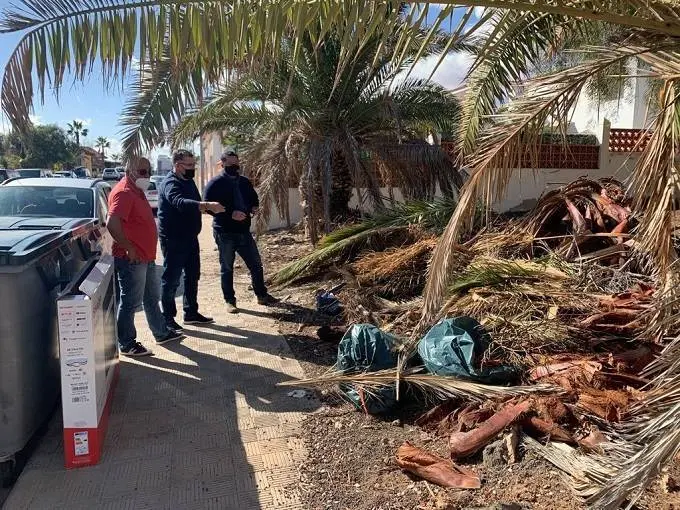 Limpieza de restos de poda en La Oliva