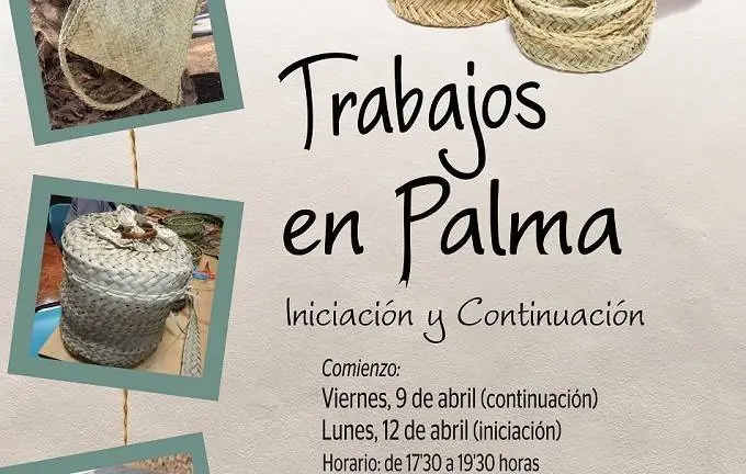 cartel curso de palma