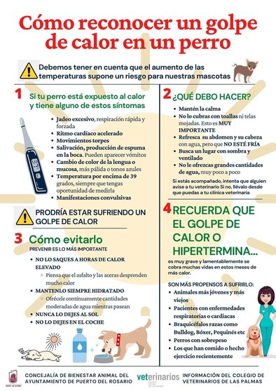 Puerto del Rosario lanza una campaña para recordar la importancia de proteger a las mascotas de los golpes de calor