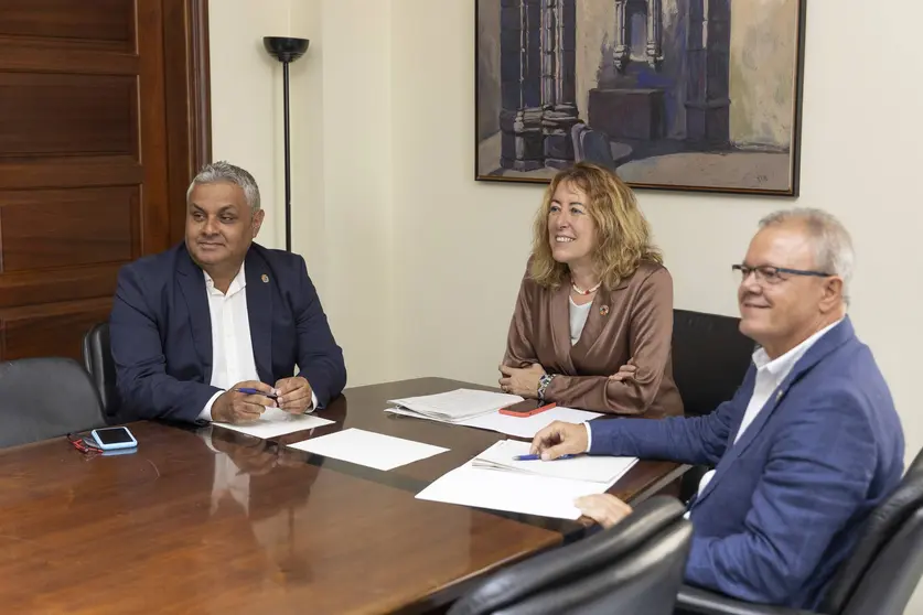 FOTO 2 REUNIÓN ALCALDE Y DIR. INS. ADM. GEN. ESTADO, CON subdelegada del Gobierno en Canarias, Teresa Mayans (1)