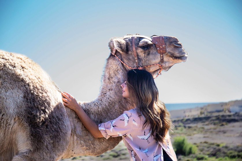 Biocho camello