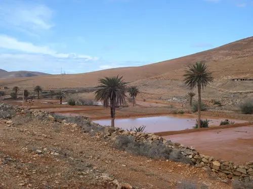 Gavias La voz de Fuerteventura