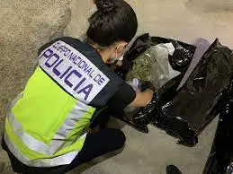 Polica Nacional drogas