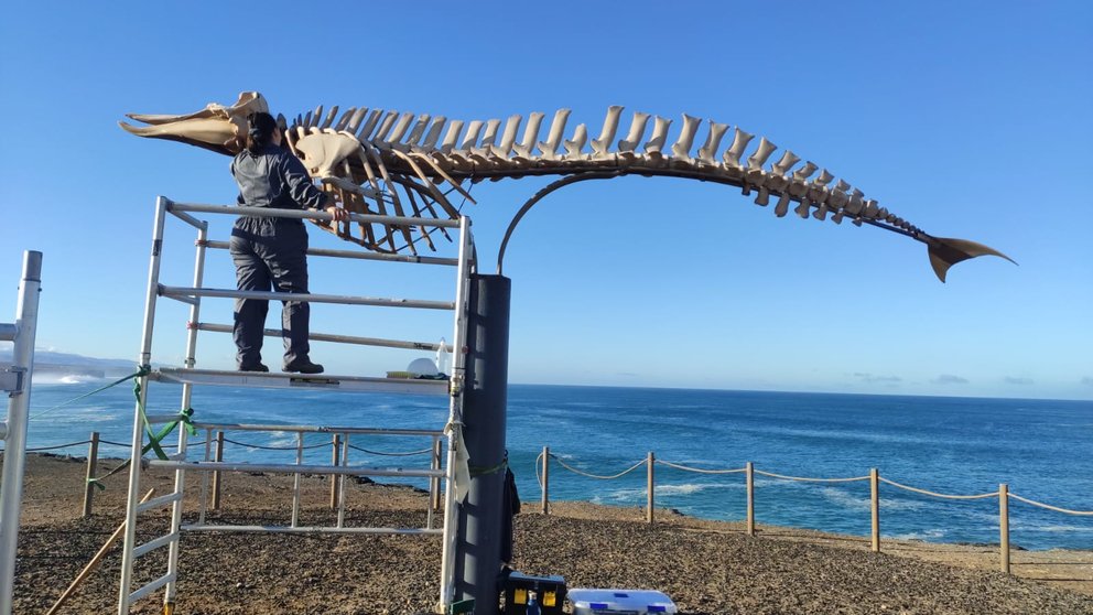 Restauración Senda de los Cetáceos