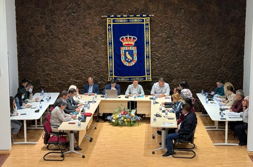 Pleno Ayuntamiento de Pájara