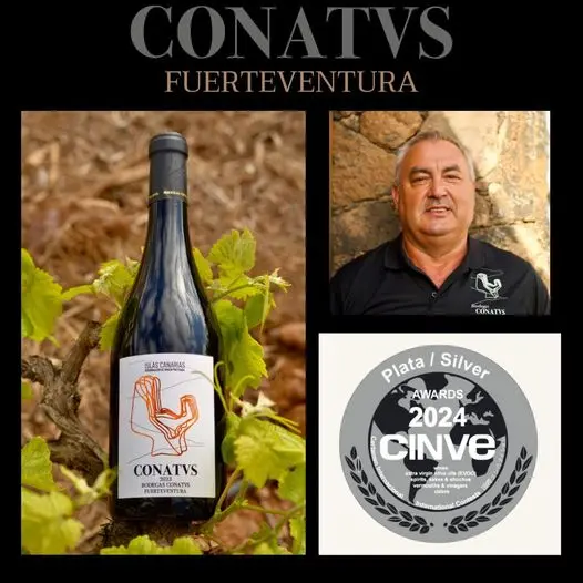 BodegasConatus