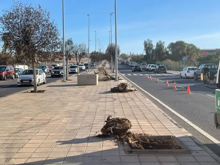 Avenida Diego Miller