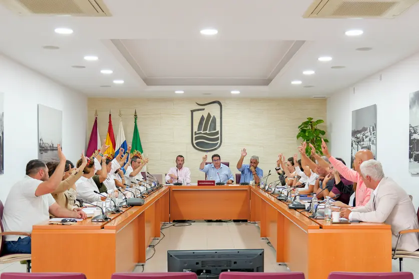 Pleno (2)