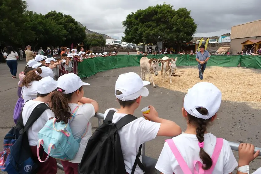 20240517_ftv_feaga 33