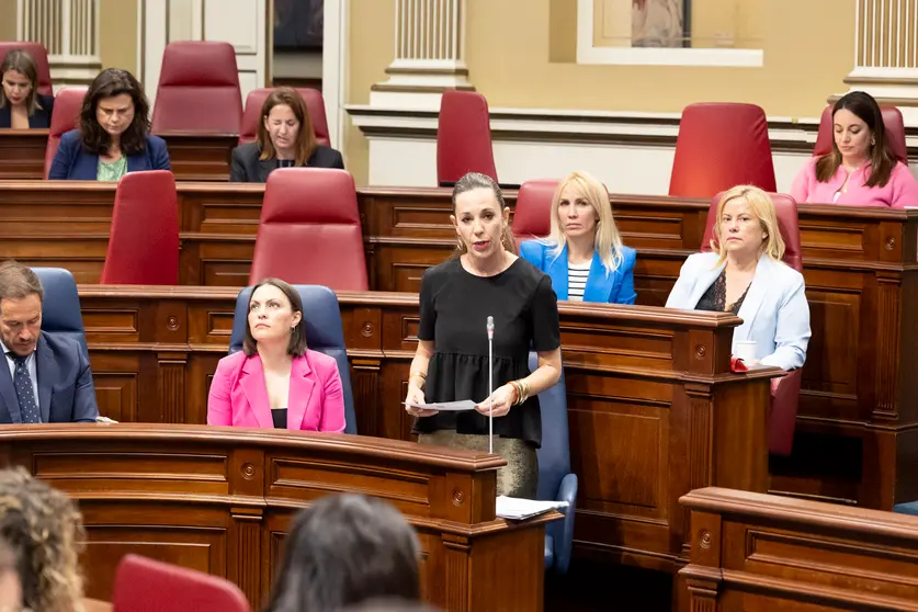 Pleno 042