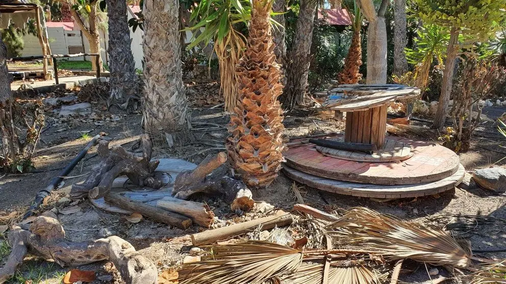 PALMERAL COSTA CALMA