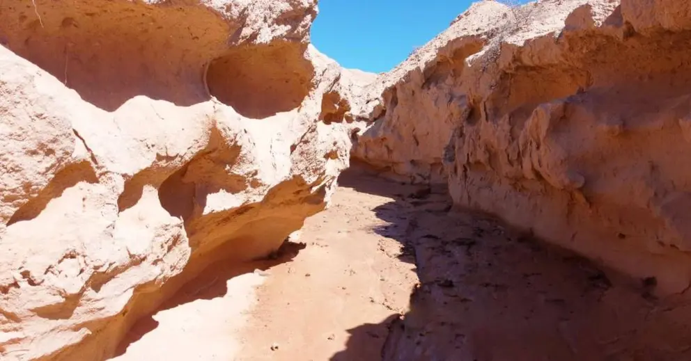 Visit Fuerteventura