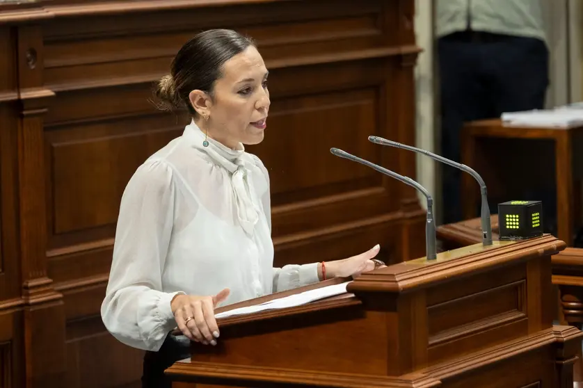 Ley VV Parlamento 140325 (2)