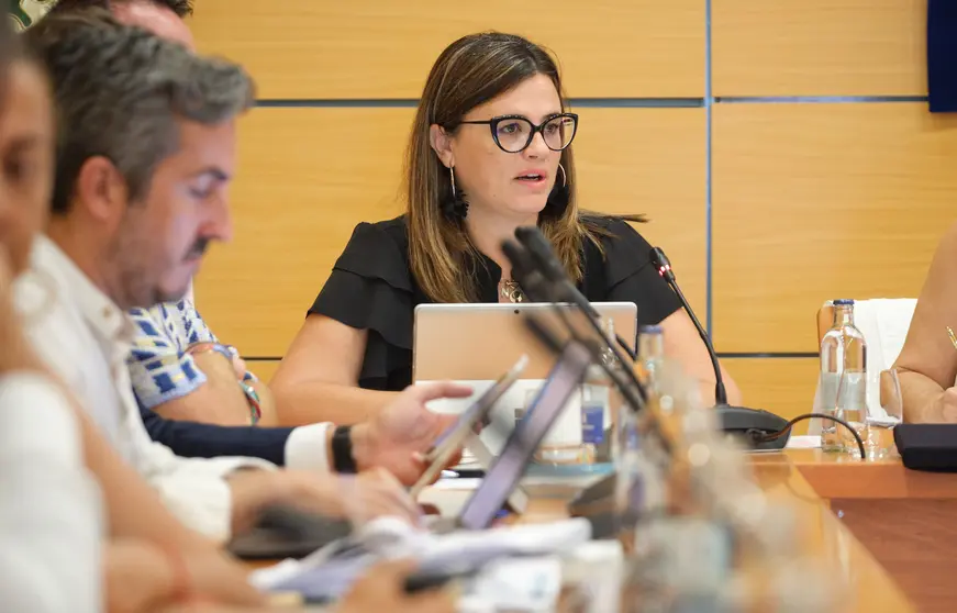 20240906_pleno_cabildo 9 (1)