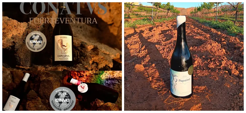 Vinos Conatus y Del Sordo