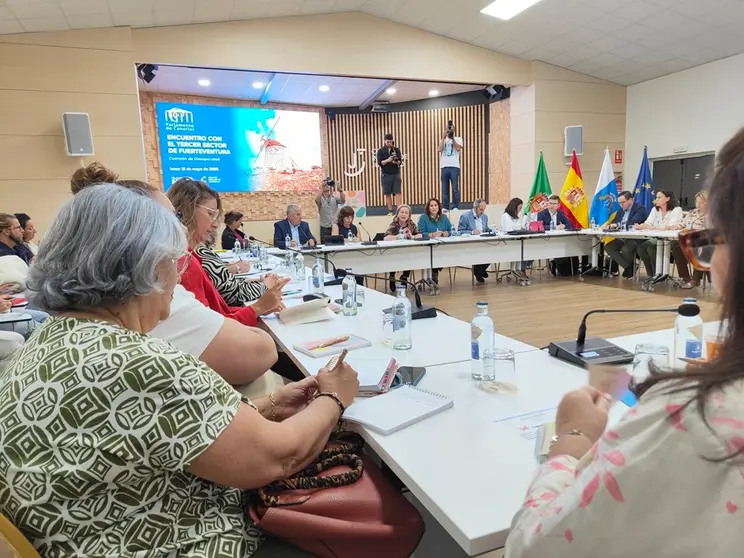 Tercer sector y la comision