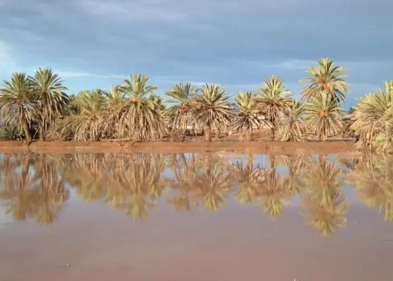 Captura de pantalla 2025-05-20 141333