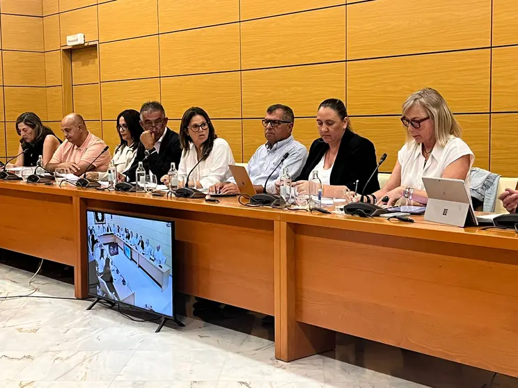consejeros último pleno
