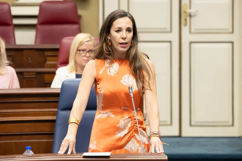 Pleno 029A (1)