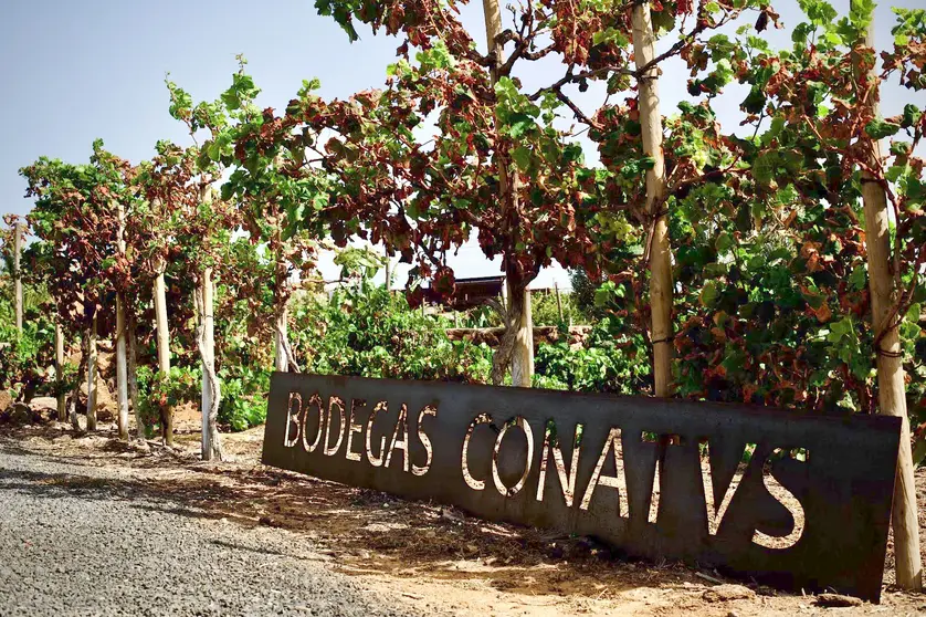 bodegas contavs3