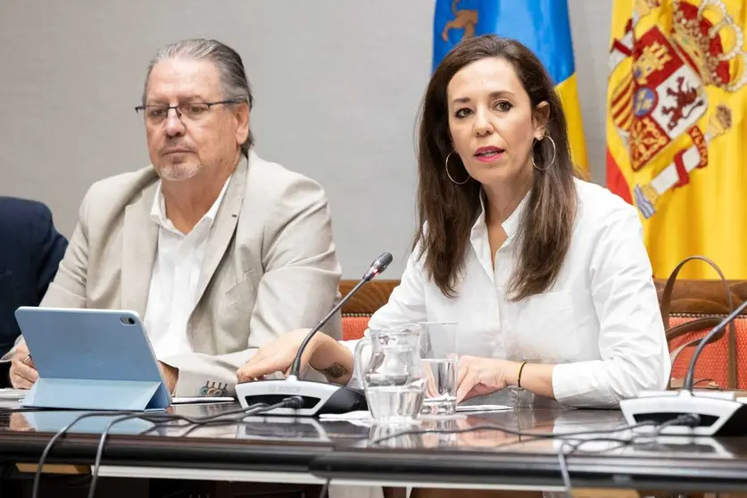 Comisión presupuestos Turismo