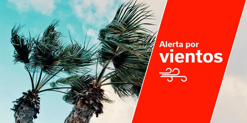 Alerta-vientos-portal-web-1