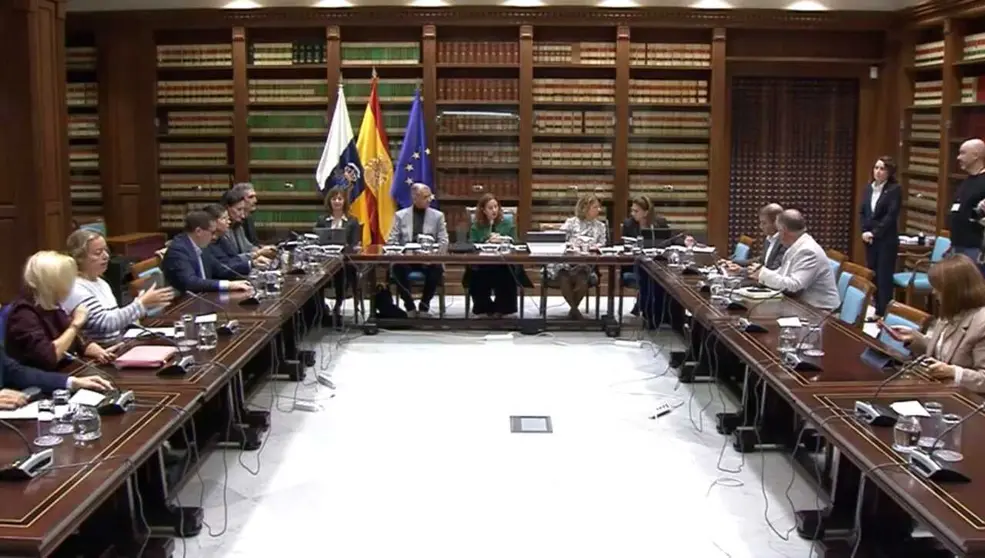251201 Comisión Educación Parlamento 15
