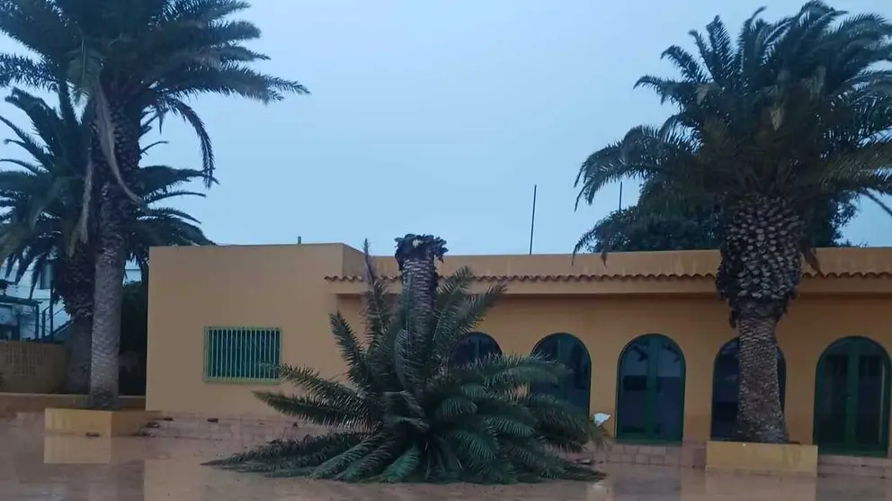Emilia "tumba" la palmera del Centro Cultural de Tuineje