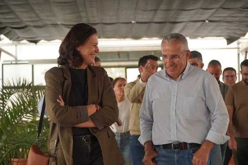 amcc feaga secretaria insular