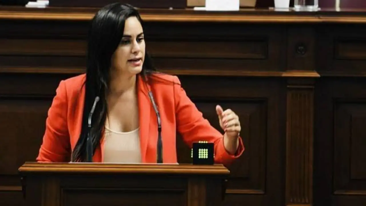 Vidina Espino, portavoz Cs en el Parlamento de Canarias
