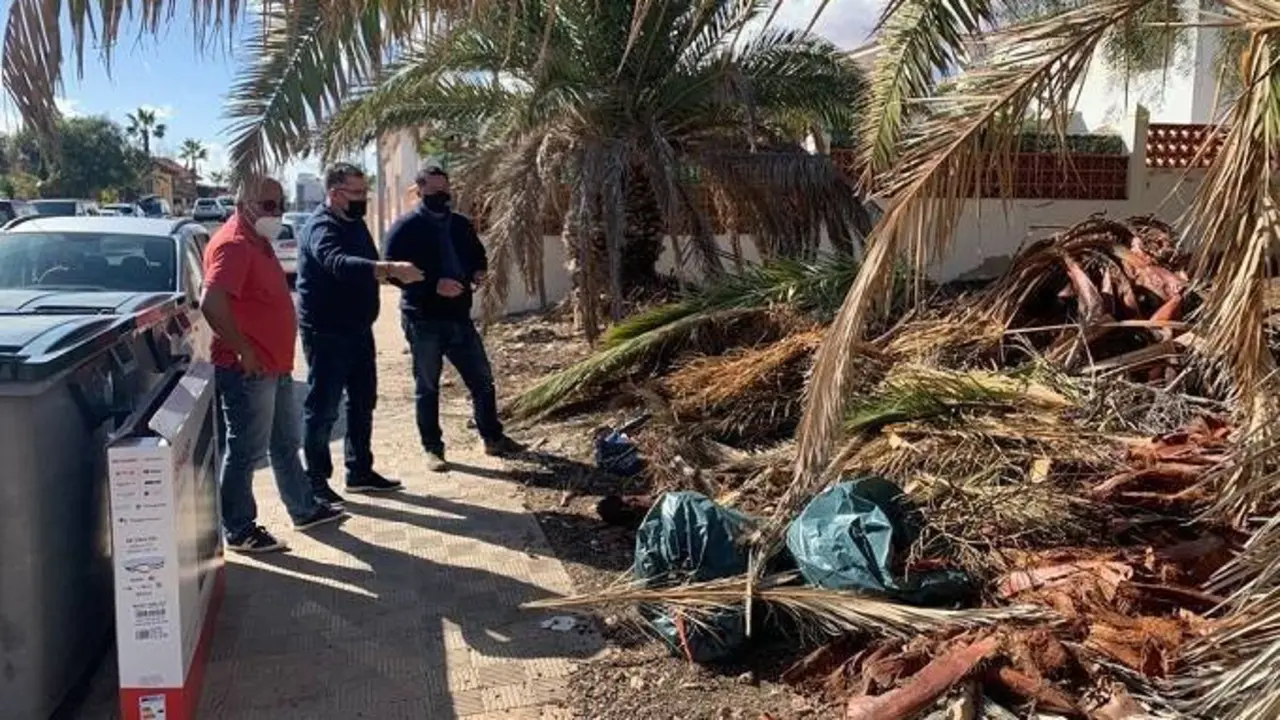 Limpieza de restos de poda en La Oliva
