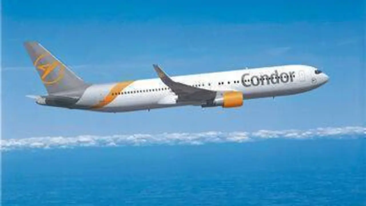 avi&oacute;n condor