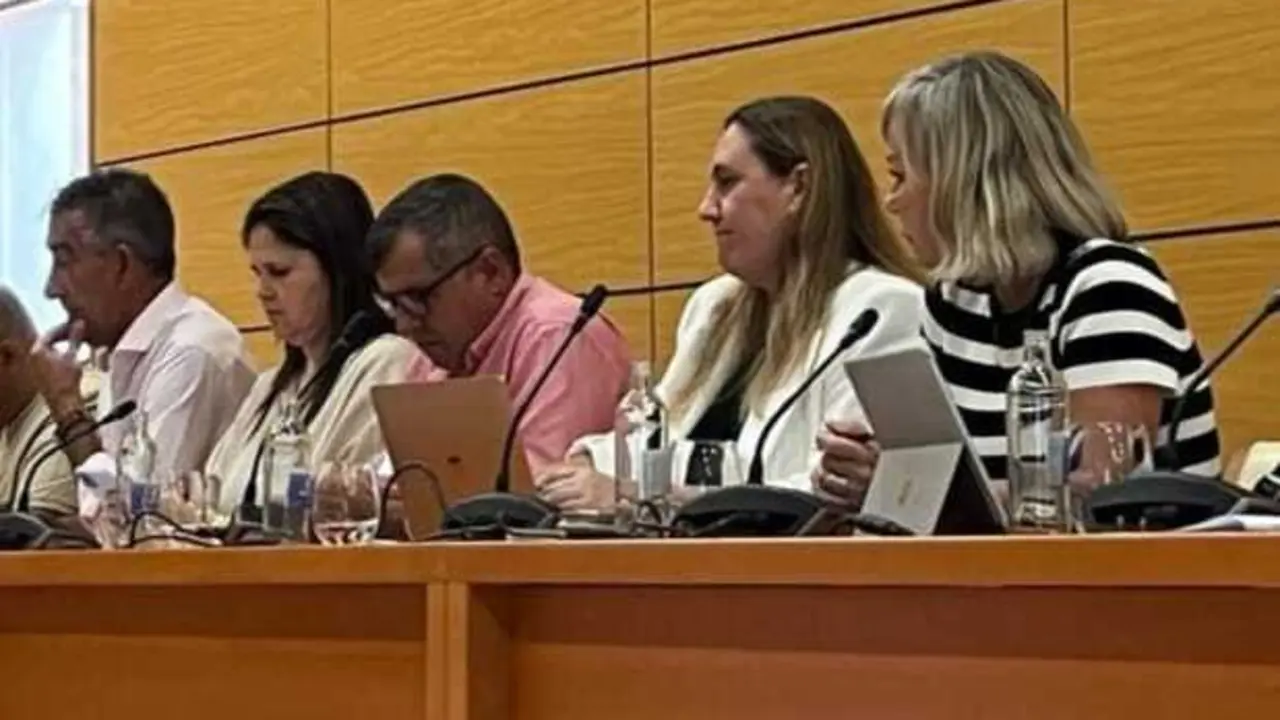 consejeros en pleno