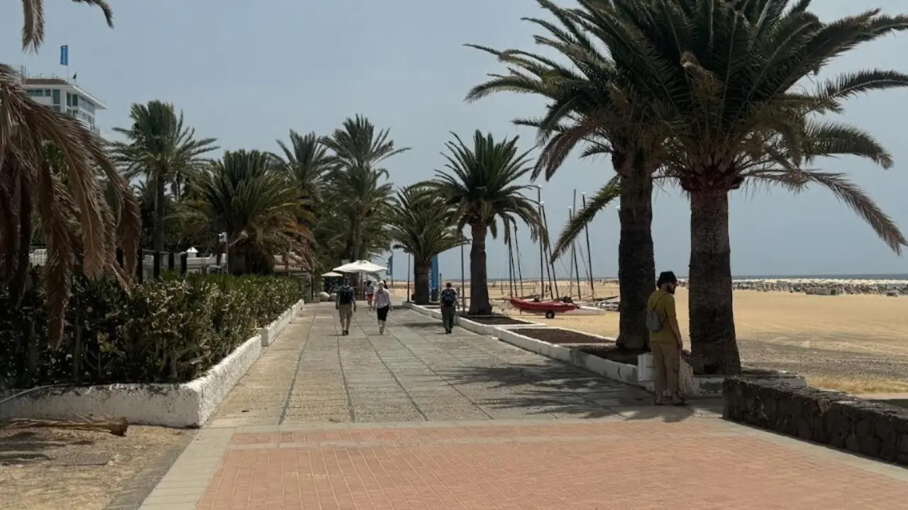 Avenida del Centenario en P&aacute;jara