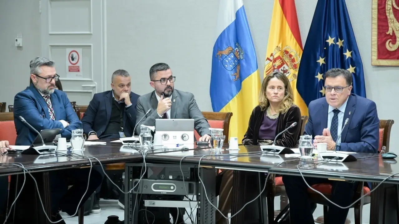Miranda, en la Comisi&oacute;n parlamentaria